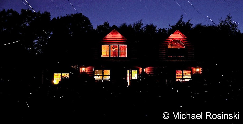 IMAGE: http://lh5.ggpht.com/_FqTNmgNQHz8/TEHyq81kMEI/AAAAAAAAKX4/KO8-3ecd0jg/s1024/Jul%2016%20fireflies%20b.jpg