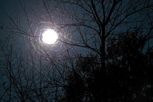 IMAGE: http://lh5.ggpht.com/_FqTNmgNQHz8/TMvD30p-MJI/AAAAAAAALOQ/uxO7shGIRUA/IMG_0766.jpg