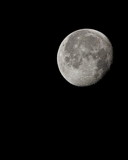 IMAGE: http://lh5.ggpht.com/_FqTNmgNQHz8/TPFvcZgOhkI/AAAAAAAALmY/CPQ5iEcrNLU/IMG_1350.jpg