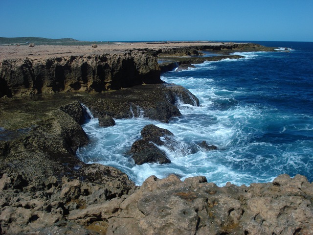 [CARNARVON0263.jpg]