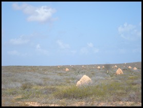 Coral Bay 005
