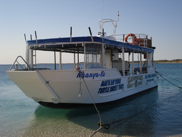 [CoralBay0383.jpg]