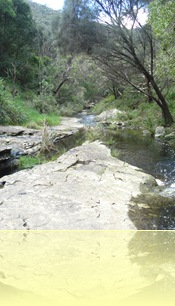 Great Ocean Road 010
