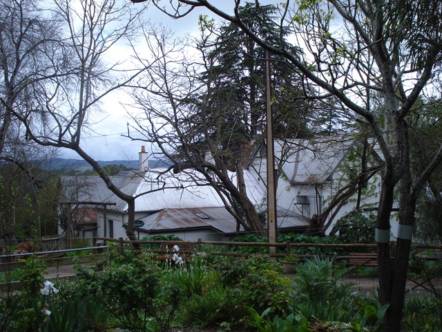 [AdelaideHandorf0184.jpg]