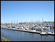 Adelaide-Port Adelaide 041