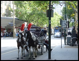 Dandenong Ranges-City 027