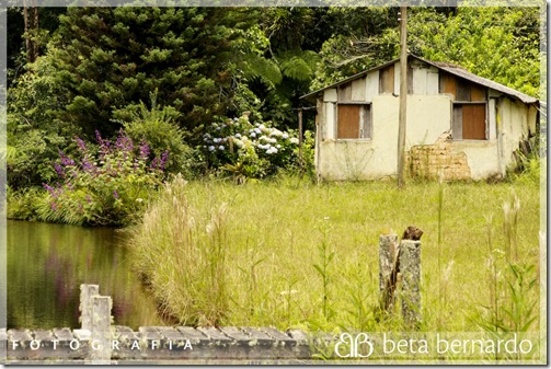 IMG_9999_40-23 copy