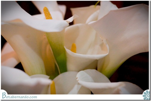 IMG_4750-1 copy