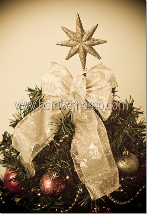 IMG_8676-1 copy