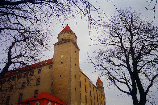 in vivo polini 9 bratislava