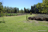 fincaelmartillorodeopismantaargentina.jpg