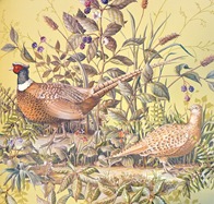 Malco Trading, Field Guide 9