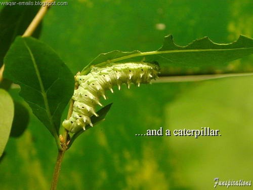 [image003[9].jpg]