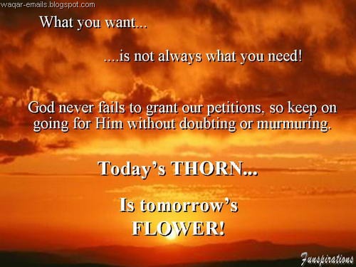 [image007[9].jpg]