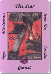 Australian Animal Tarot (17)