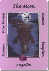 Australian Animal Tarot (18)