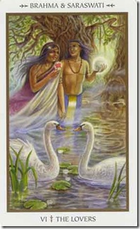 Animals Divine Tarot (6)