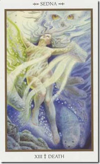 Animals Divine Tarot (13)