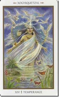 Animals Divine Tarot (14)