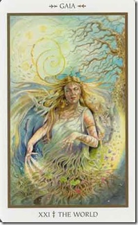 Animals Divine Tarot (21)