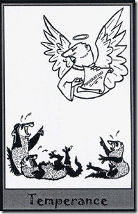 Ferret Tarot (14)