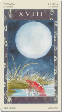 Samurai Tarot (18)