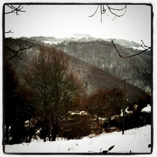 Vignette