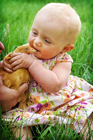 [IMG_5094-copy_web[2].jpg]