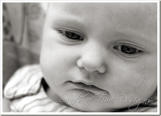 IMG_8515-copy-bw_web