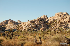 Joshua Tree National Park, CA, USA