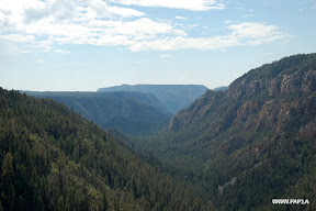 Dixie National Forest