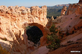 Natural Bridge