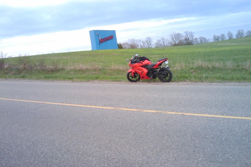 IMAG0123.jpg