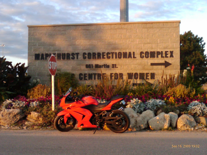IMAG0225.jpg