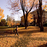 Member Institutions