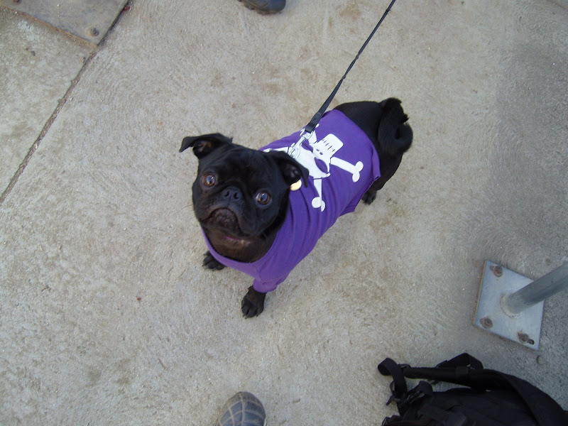 Max the Mascot