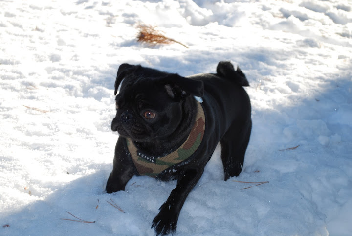 Max at Lake Tahoe