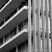 IMG_3994-1.JPG