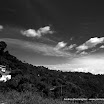 IMG_8528-1.JPG