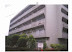 Tokyo Apartment