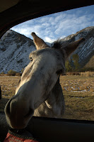 DSC_0060.jpg