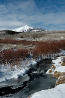 DSC_0017_DxO_raw_resize.jpg
