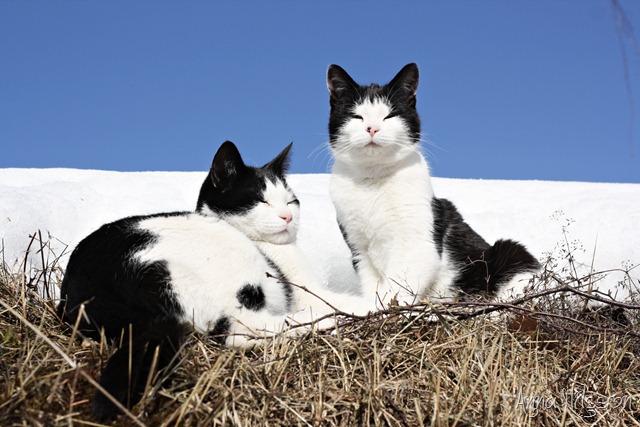 [2[9].jpg]