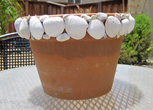 [shell pot 4[4].jpg]