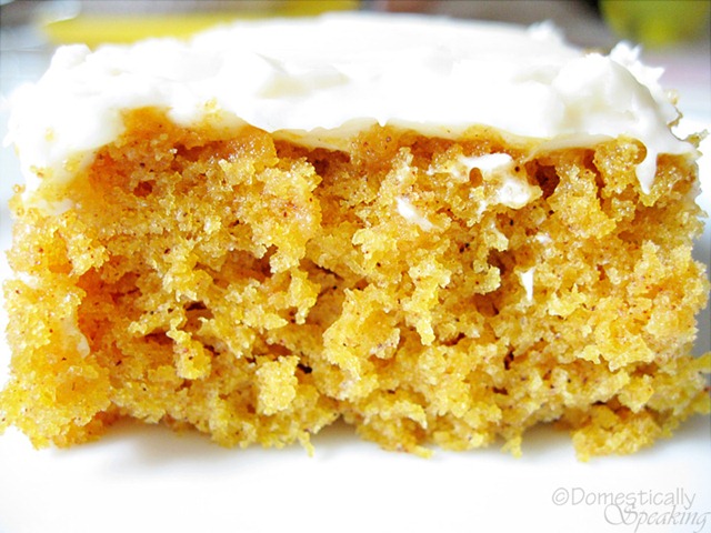 [pumpkin spice 2[4].jpg]