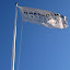 DSC_1543.jpg