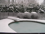 feb2afternoon (11).JPG