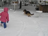 snow play 2 feb 13 (2).JPG