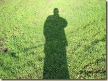 Scary Shadow
