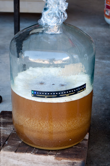 Beer